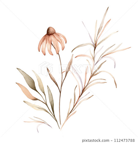 Watercolor bouquet botanical autumn illustration echinacea branches flowers and herbs. Autumn floral illustration. Hand painted drawing isolated on white background. Floral composition pastel color Watercolor bouquet botanical autumn illustration echinacea branches flowers and herbs. Autumn floral illustration. Hand painted drawing isolated on white background. Floral composition pastel color 112473788