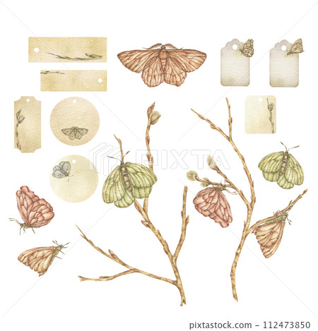 A set of watercolor vintage tags with butterflies and willow. Isolates of butterflies and twigs of the plant. For stickers, badges, icons, banners, logos, labels 112473850