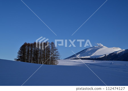 larch hill larch hill 112474127