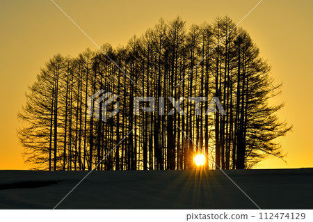 larch hill 112474129