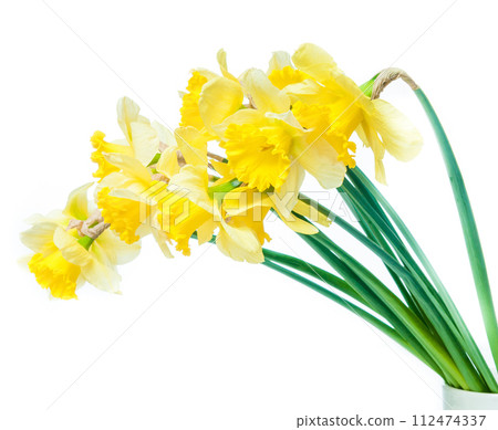 yellow flowers 112474337