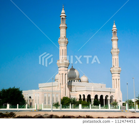 torso of a girl in a bathing suit 112474451