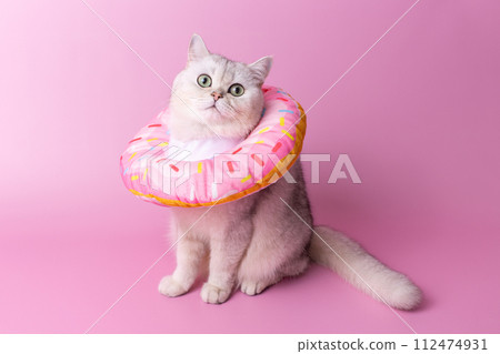A white cat in a soft protective collar made of fabric, in the form of a pink donut 112474931