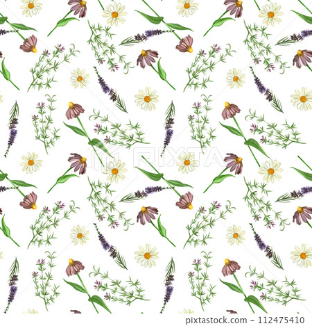 Watercolor pattern. Meadow grasses and flowers of echinacea, heather, oregano hand-drawn in watercolor on a white background. Suitable for printing on fabric and paper, design, wallpaper, scrapbooking Watercolor pattern. Meadow grasses and flowers of echinacea, heather, oregano hand-drawn in watercolor on a white background. Suitable for printing on fabric and paper, design, wallpaper, scrapbooking 112475410