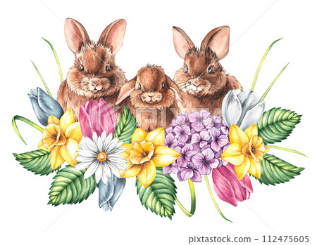 Watercolor spring cute bunnies with hydrangea, daffodil and tulip Watercolor spring cute bunnies with hydrangea, daffodil and tulip 112475605