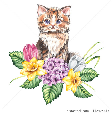 Watercolor spring cute kitten with hydrangea, daffodil and tulip Watercolor spring cute kitten with hydrangea, daffodil and tulip 112475613