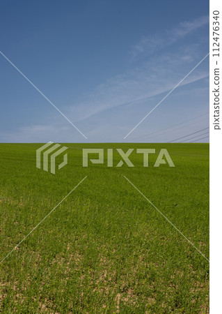 Green field and a  blue sky, Lisky, Czechia 112476340