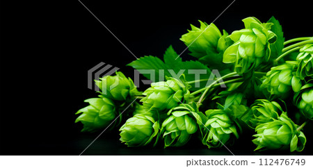 AI-generated content. Fresh green hops on black background with copy space, AI generated AI-generated content. Fresh green hops on black background with copy space, AI generated 112476749