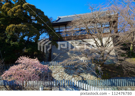 Kawazu cherry blossoms in full bloom with Amabiki Kannon Kawazu cherry blossoms in full bloom with Amabiki Kannon 112476780
