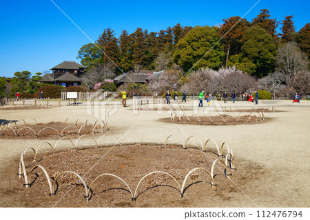 水戶梅花節 好文亭水戶偕樂園 水戶梅花節 好文亭水戶偕樂園 112476794