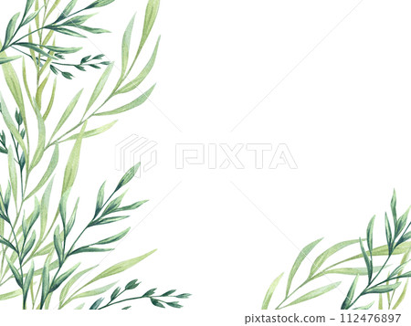 Green wild plants. Spikelet. Spring meadow herbs. Monochrome style. Horizontal frame with copy space for text. Watercolor floral illustration. Copy space for text. For greetings, invitations Green wild plants. Spikelet. Spring meadow herbs. Monochrome style. Horizontal frame with copy space for text. Watercolor floral illustration. Copy space for text. For greetings, invitations 112476897