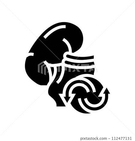 kidney transplant surgery glyph icon vector illustration 112477131