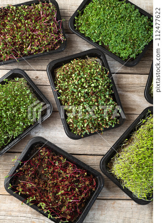 Mix of Microgreens in container 112477622