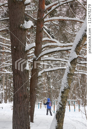 Picturesque winer forest. Fabulous snowy wonderland. Magic beautiful scenic view of pines Picturesque winer forest. Fabulous snowy wonderland. Magic beautiful scenic view of pines 112478279