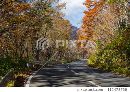 Nagano in autumn, Togakushi at the best time to see the autumn leaves Nagano in autumn, Togakushi at the best time to see the autumn leaves 112478766