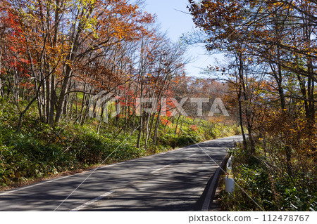 Nagano in autumn, Togakushi at the best time to see the autumn leaves Nagano in autumn, Togakushi at the best time to see the autumn leaves 112478767