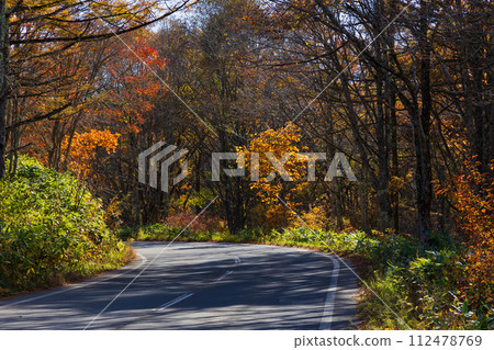 Nagano in autumn, Togakushi at the best time to see the autumn leaves Nagano in autumn, Togakushi at the best time to see the autumn leaves 112478769