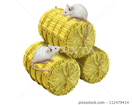 白老鼠和米袋 112479414