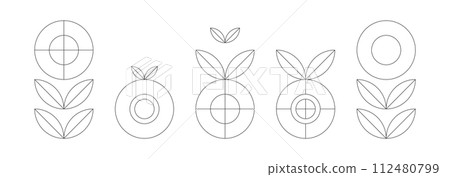 Icon set fruits vegetables flowers retro line background 112480799