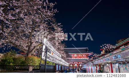 "Tokyo" Sensoji Temple Nakamise Street and cherry blossoms in full bloom, Taito Ward night view 112481080