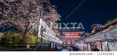 "Tokyo" Sensoji Temple Nakamise Street and cherry blossoms in full bloom, Taito Ward night view 112481081