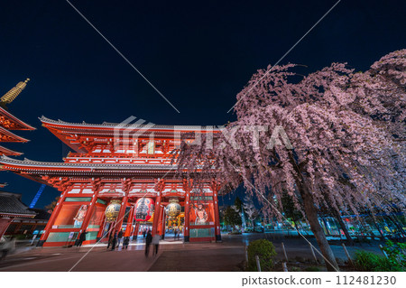 "Tokyo" Sensoji Temple's Hozomon gate and weeping cherry blossoms in full bloom, Taito Ward night view "Tokyo" Sensoji Temple's Hozomon gate and weeping cherry blossoms in full bloom, Taito Ward night view 112481230