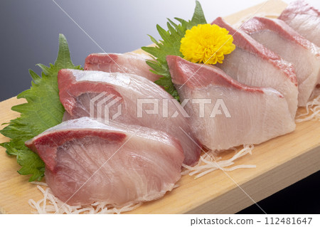 壽司沒有生魚片 112481647