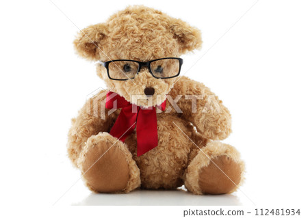 Cute Teddy Bear with glasses 112481934