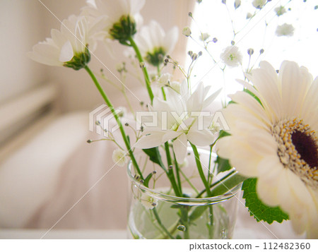 室內綠色花束 112482360