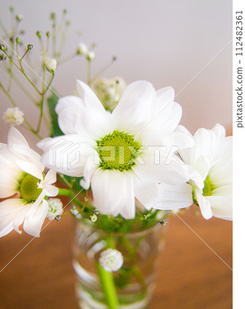 室內綠色花束 室內綠色花束 112482361