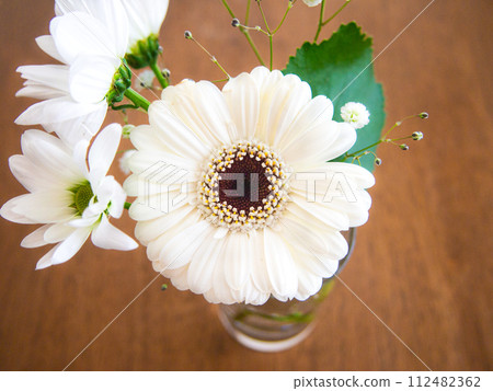 室內綠色花束 112482362