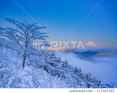 (Kanagawa Prefecture) Mt. Fuji seen from Hakone covered in snow and a sea of clouds 112482383