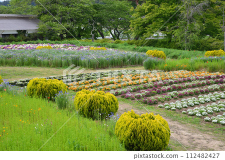 I went to Shirakawa Flower World #20 I went to Shirakawa Flower World #20 112482427