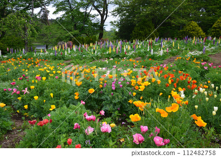I went to Shirakawa Flower World #27 112482758
