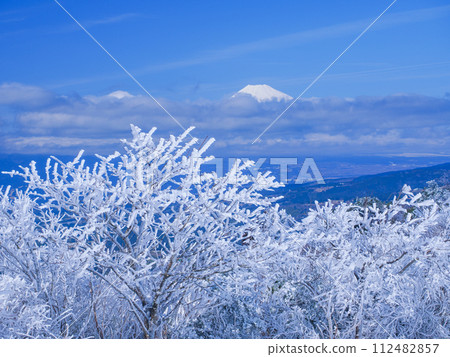 (Shizuoka Prefecture) Snow-covered Izu Skyline Mt. Fuji seen from Takichiyama Park 112482857