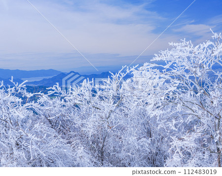 箱根/伊豆天際線(後面是伊豆海岸線)看到美麗的霜花 箱根/伊豆天際線(後面是伊豆海岸線)看到美麗的霜花 112483019
