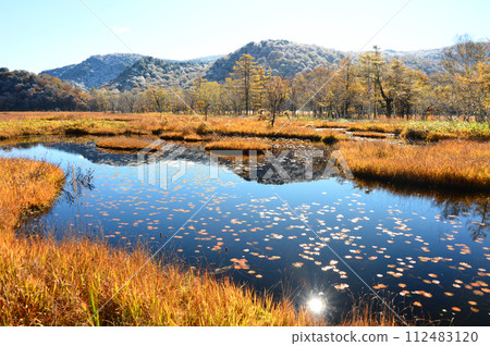 Ozegahara in autumn leaves Ozegahara in autumn leaves 112483120