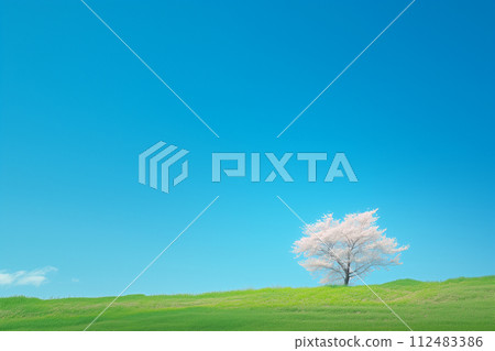 Blue sky and cherry tree 112483386