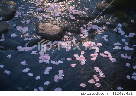 河邊的櫻花花瓣 112483431