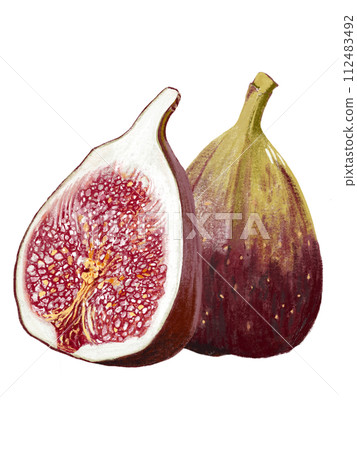 無花果(1 片和橫斷面) 無花果(1 片和橫斷面) 112483492