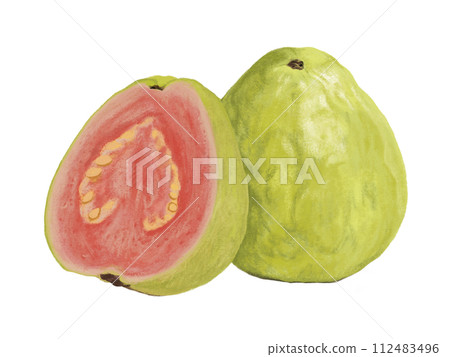 番石榴(1片,橫切面) 番石榴(1片,橫切面) 112483496