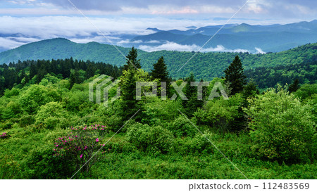 Smokies overlook Smokies overlook 112483569