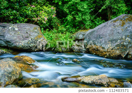 Small creek in Maggie Valley Small creek in Maggie Valley 112483571