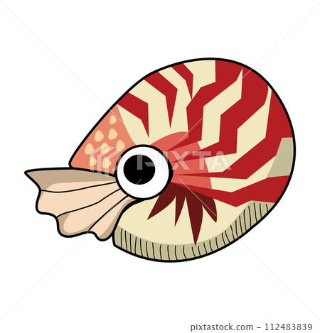 Cartoon Nautilus pompilius illustration isolated on white background 112483839