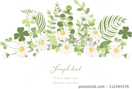 natural plant frame material 112484376