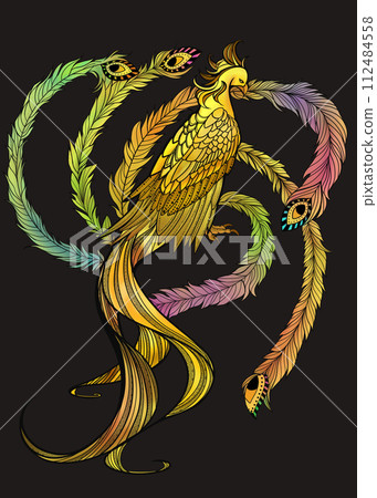 bright phoenix bright phoenix 112484558