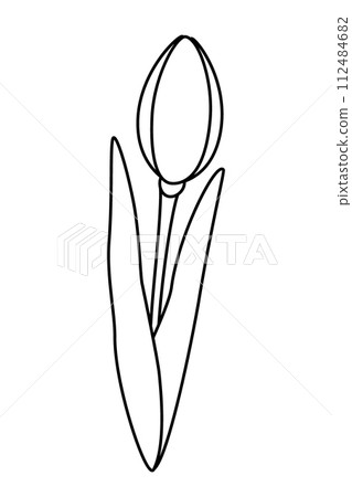 Outline drawing of tulip bud. Design elements for coloring book or springtime greetings, cards. Icon 112484682