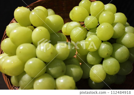~ Grape ~ ○ ◯ * + ○ Shine Muscat ○ + ◯ * ○. 112484918