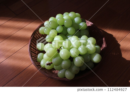 〜葡萄〜○◯* +○閃耀馬斯喀特○+◯*○。 〜葡萄〜○◯* +○閃耀馬斯喀特○+◯*○。 112484927