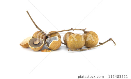 Longan fruits on branch isolated on white background 112485321
